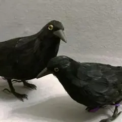 PUEBCO プエブコ アーティフィシャルバード 2羽