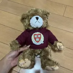 新品タグつき】ハーバード大学 テディベア - メルカリ