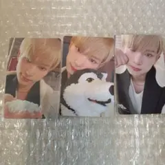 &TEAM 雪明かり ハルア トレカ HARUA　アニマル