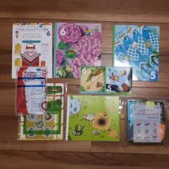 こどもちゃれんじ　すてっぷ(年中)　2020　５、６月号　DVD付き