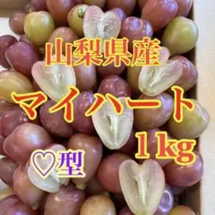 山梨県産 訳あり 家庭用 ぶどう マイハート 5房 箱込み2.4kg ① - メルカリ