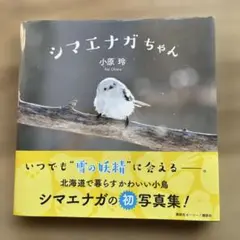 シマエナガ写真集　シマエナガちゃん メモ帳付き