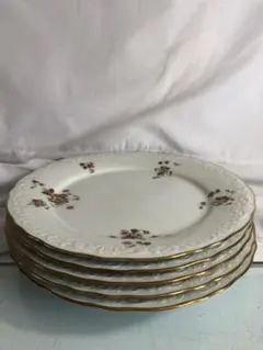 Noritake 乃りたけ　大皿　5枚 皿 ノリタケ 5枚セット」の人気商品一覧 | 安い商品を通販サイトから