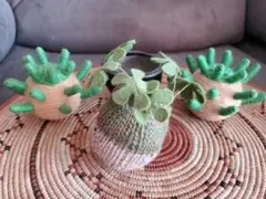 Item thumbnail for item bd71a8ae-efe2-4a30-aa65-37db99a38335