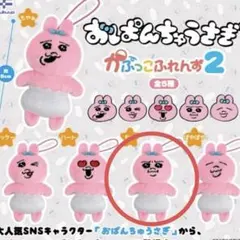 おぱんちゅうさぎ　かぷっこふれんず2