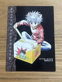 2026年最新】ハンターハンター カードダスマスターズ キルアの人気