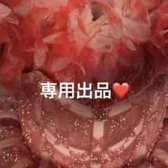 専用出品
