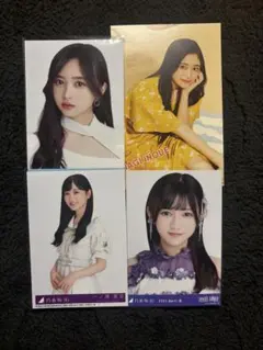 Item thumbnail for item 2284ef32-fc12-44fa-9585-f4bfcfb0dfb1