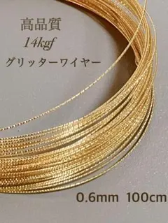 新商品　14kgf スパークルグリッターワイヤー　ハード 0.6mm　1m