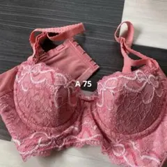 2025年最新】リセグラマラスの人気アイテム - メルカリ