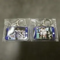 オフィシャルネームタグ ミクの日大感謝祭 - メルカリ