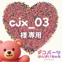 cjx_03 様　専用ページ