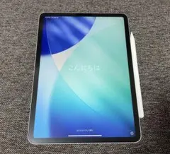 【美品】iPadPro第2世代 Cellular 11インチ 256GB
