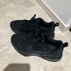 Nike Air Max スニーカー ブラック