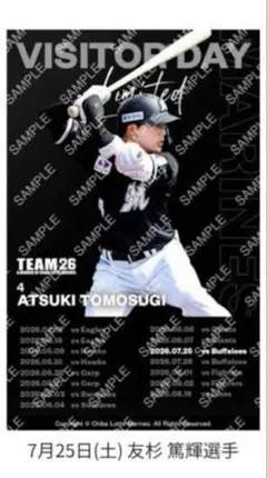 プロ野球神宮球場　ヤクルトvs巨人 8/26 ネット裏指定席チケット2枚セット プロ野球神宮球場 ヤクルトvs巨人 8/26 ネット裏指定席チケット2枚