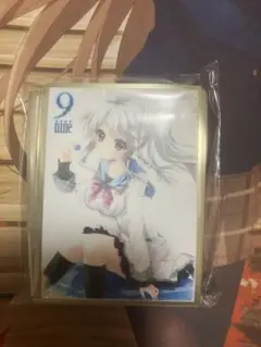 ぱれっと 9-nine- ナイン 新海天 スリーブ