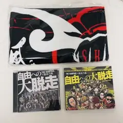 the rampage 湘南乃風 自由への大脱走 CD DVD タオル付き