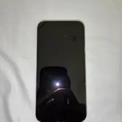 Apple iPhone 12 Pro ジャンク品