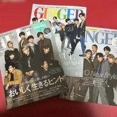 SnowMan 表紙With＆GINGER 雑誌 3冊セット