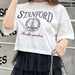 処分価格！【M】INGNI イング ロゴ ショート Tシャツ クロップド丈 春夏
