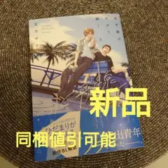 新品☆水平線はやがて瞬く 上/文乃ゆき/BL 漫画/初版本☆