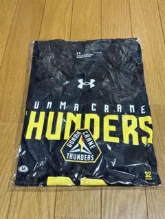 群馬クレインサンダーズジャージセット　新品未使用 2025年最新】群馬クレインサンダーズ ジャージの人気アイテム