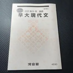 河合塾 夏期講習 テキスト 早大現代文