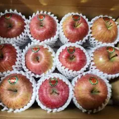 青森県弘前産りんご　サンふじ11個