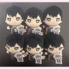 ハイキュー‼︎ ともぬい コンプ セット 18種 烏野 稲荷崎 青葉城西 梟谷 ハイキュー‼︎ ともぬい コンプ セット 18種 烏野 稲荷崎 青葉城西 梟