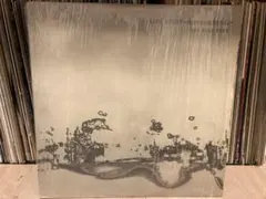 SILENT POETS FIRM ROOTS レコード - メルカリ