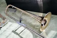 2025年最新】バルブトロンボーンの人気アイテム - メルカリ