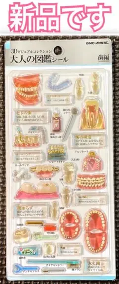 新品 ｟ 正規品 ｠3Dビジュアルコレクション 大人の図鑑シール 歯編