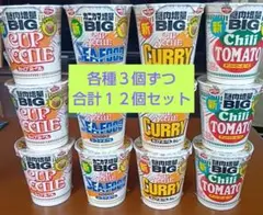 日清カップヌードル BIG 各種12個セット！A
