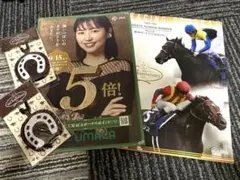 JRA アニバーサリー クリーナークロス レープロ セントライト記念 競馬