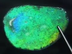 Item thumbnail for item 26e264bc-5180-4a08-bc89-52ac0ff66948