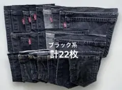 デニム ポケット15枚.コインポケット7枚　Levi's デニムリメイクなどに