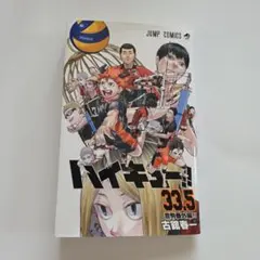 ハイキュー!! 33.5 劇場版特別版集合写真付き