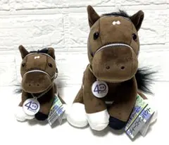 2026年最新】武豊サインの人気アイテム - メルカリ