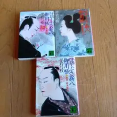 平岩弓枝はやぶさ新人 ★上・下・8★３冊★発行日は写真を確認★