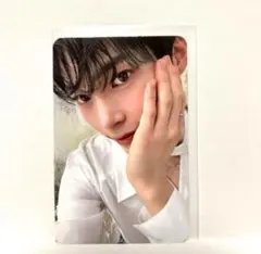 ハンビン zb1 タレントカード