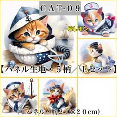 Item thumbnail for item 9b6ccc9c-c221-4fbd-a069-94a1d75e2fed