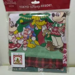 ディズニーリゾートウォッシュタオル