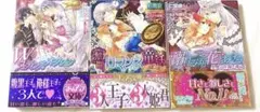 TL小説 仁賀奈 ソーニャ文庫 ティアラ文庫 監禁/虜囚 他