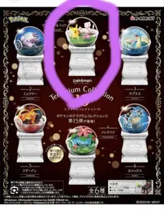 テラリウムコレクション15 ポケットモンスター