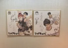 ハイキュー‼︎サイン入り複製色紙 ハイキュー!! 非売品 描き下ろし イラスト 複製 サイン色紙 公式