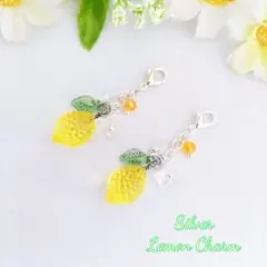 フルーツ　レモン　シルバー　マスクチャーム　ピアス　イヤリング