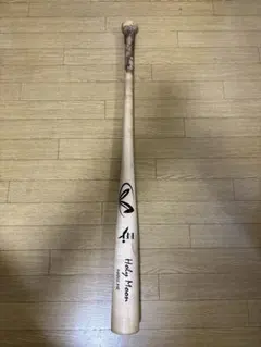 鈴木健 支給ミズノバット サイン入り 西武ライオンズ - メルカリ