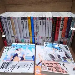 ⑧ 商業BL (ボーイズラブ) 28冊 まとめ売り