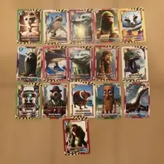 トゥントゥンサフールトレーディングカードセット