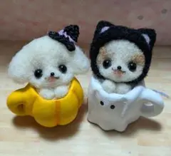 小さなハロウィンカップ♡黒猫シーズーちゃんとマルチーズちゃん♡